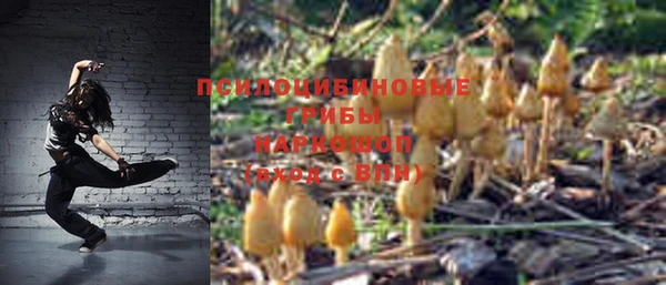 PSILOCYBIN Костерёво