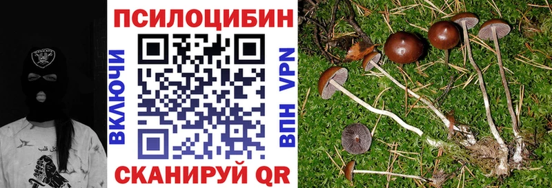 Галлюциногенные грибы мухоморы darknet какой сайт Касли купить наркоту